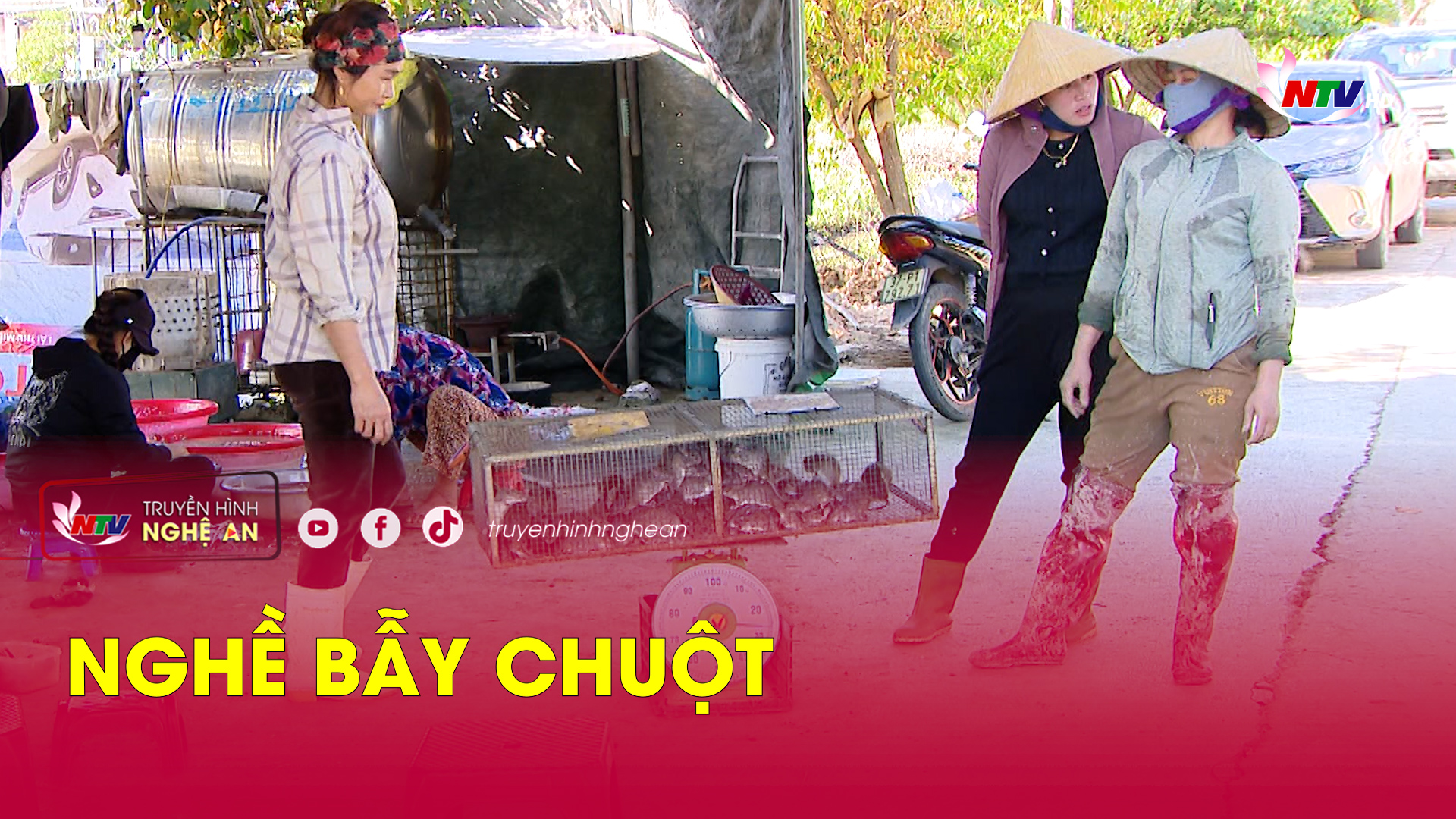 Nghề bẫy chuột