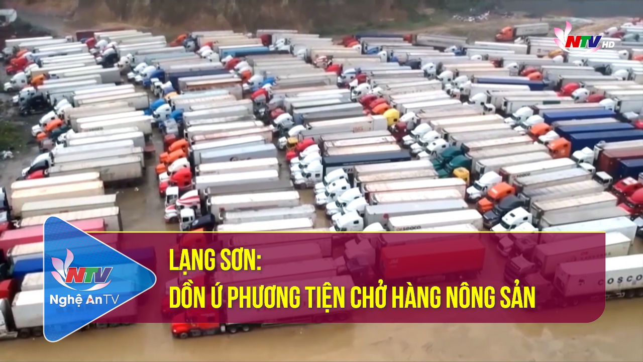 Lạng Sơn: Dồn ứ phương tiện chở hàng nông sản