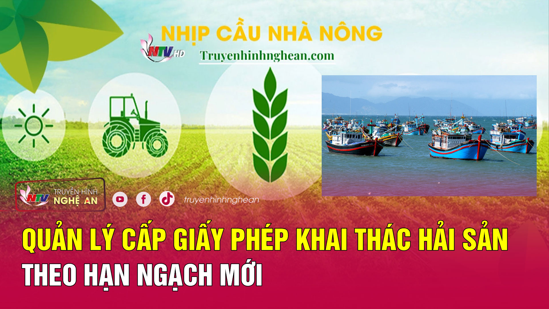 Nhịp cầu nhà nông: Quản lý cấp giấy phép khai thác hải sản theo hạn ngạch mới