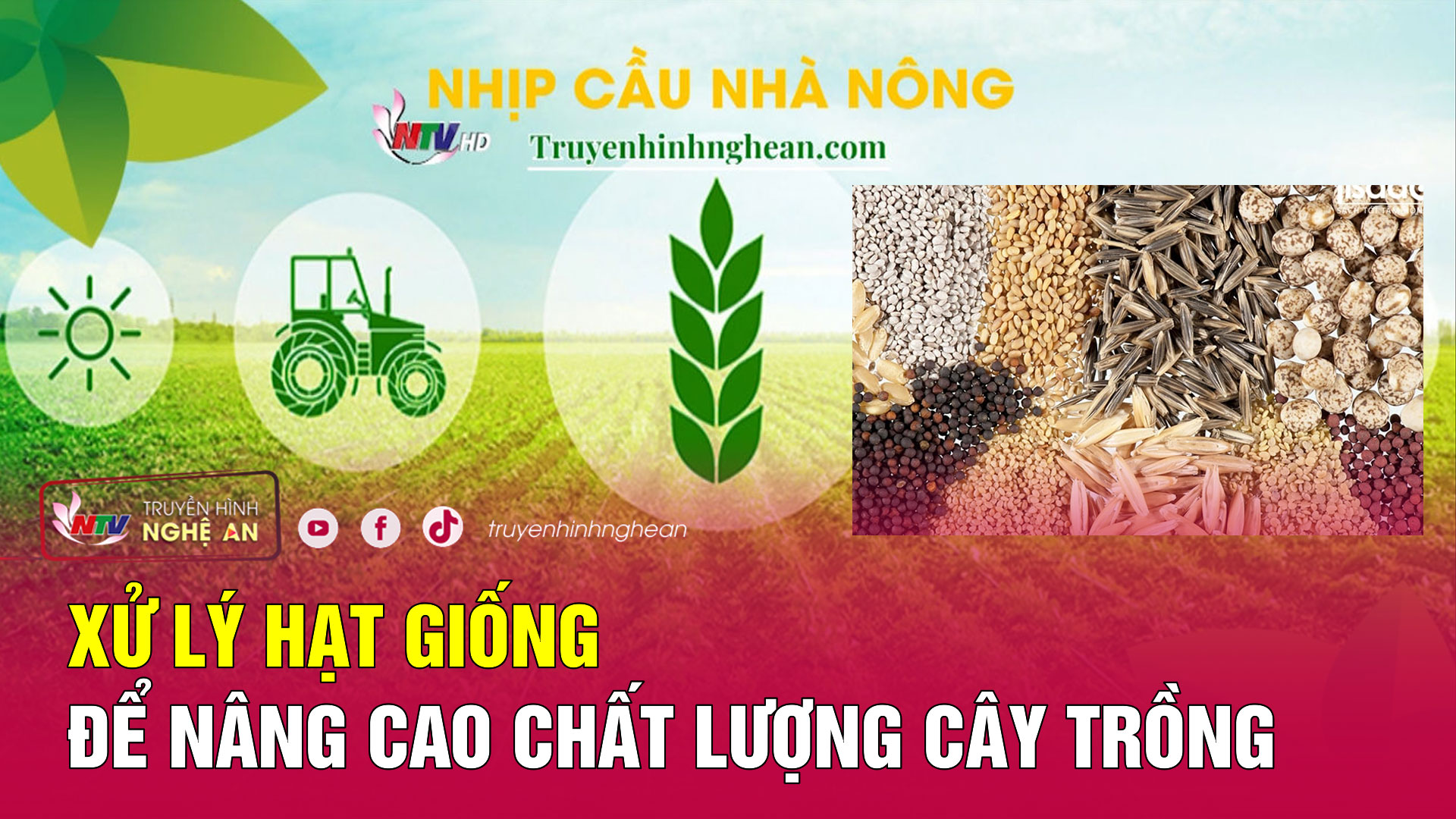 Nhịp cầu nhà nông: Xử lý hạt giống để nâng cao chất lượng cây trồng