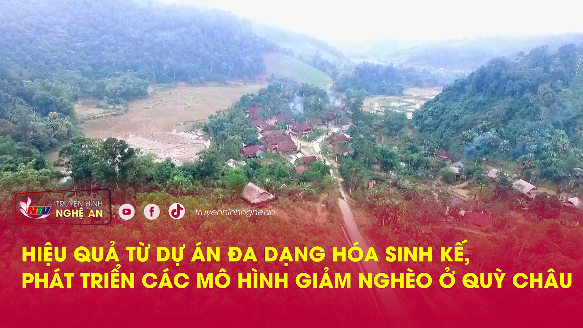 Hiệu quả từ dự án đa dạng hóa sinh kế, phát triển các mô hình giảm nghèo ở Quỳ Châu