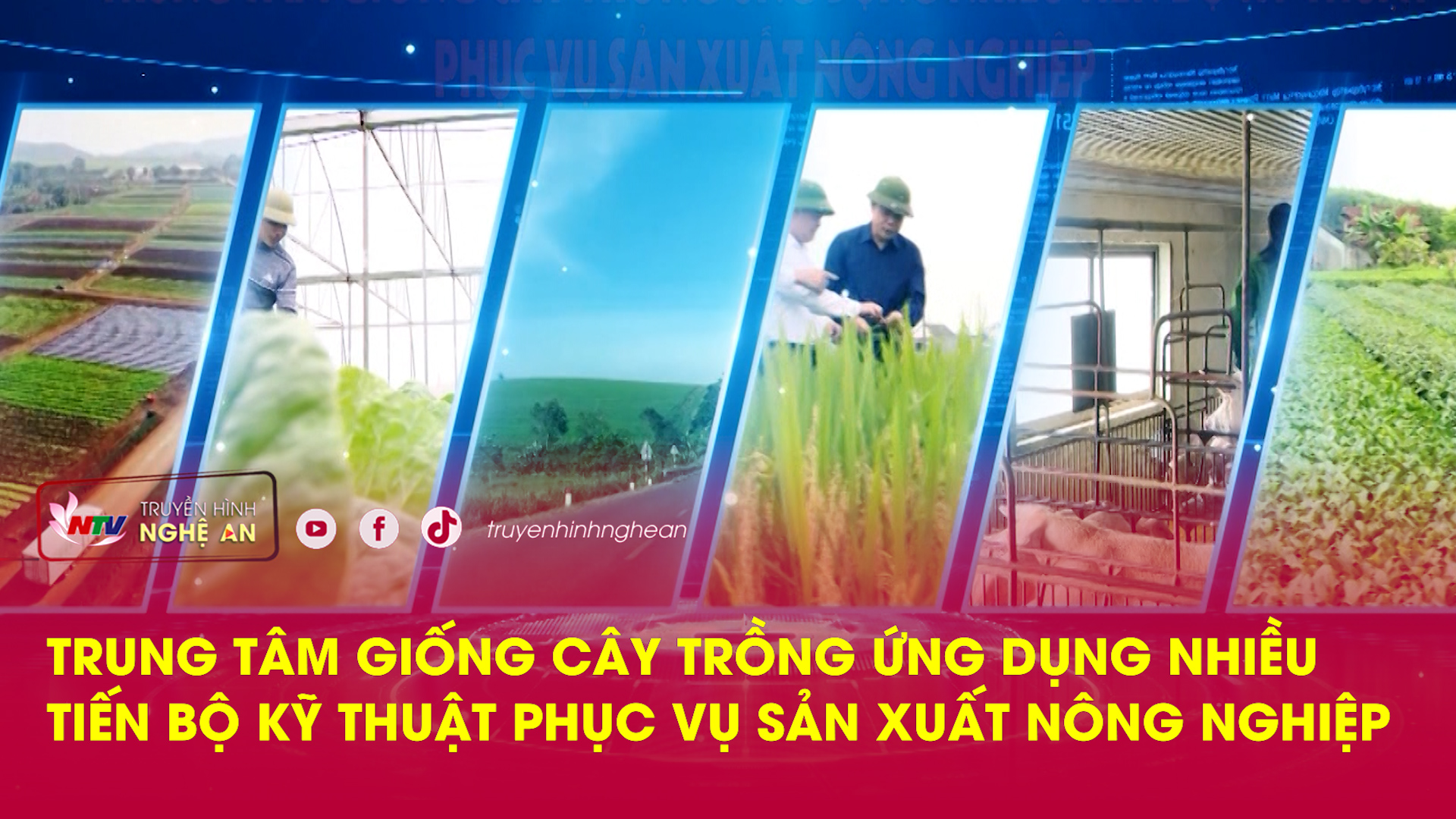 Trung tâm giống cây trồng ứng dụng nhiều tiến bộ kỹ thuật phục vụ sản xuất nông nghiệp