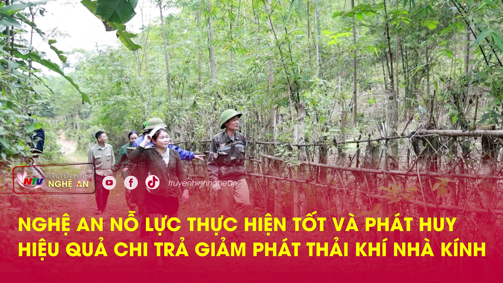 Nghệ An nỗ lực thực hiện tốt và phát huy hiệu quả chi trả giảm phát thải khí nhà kính