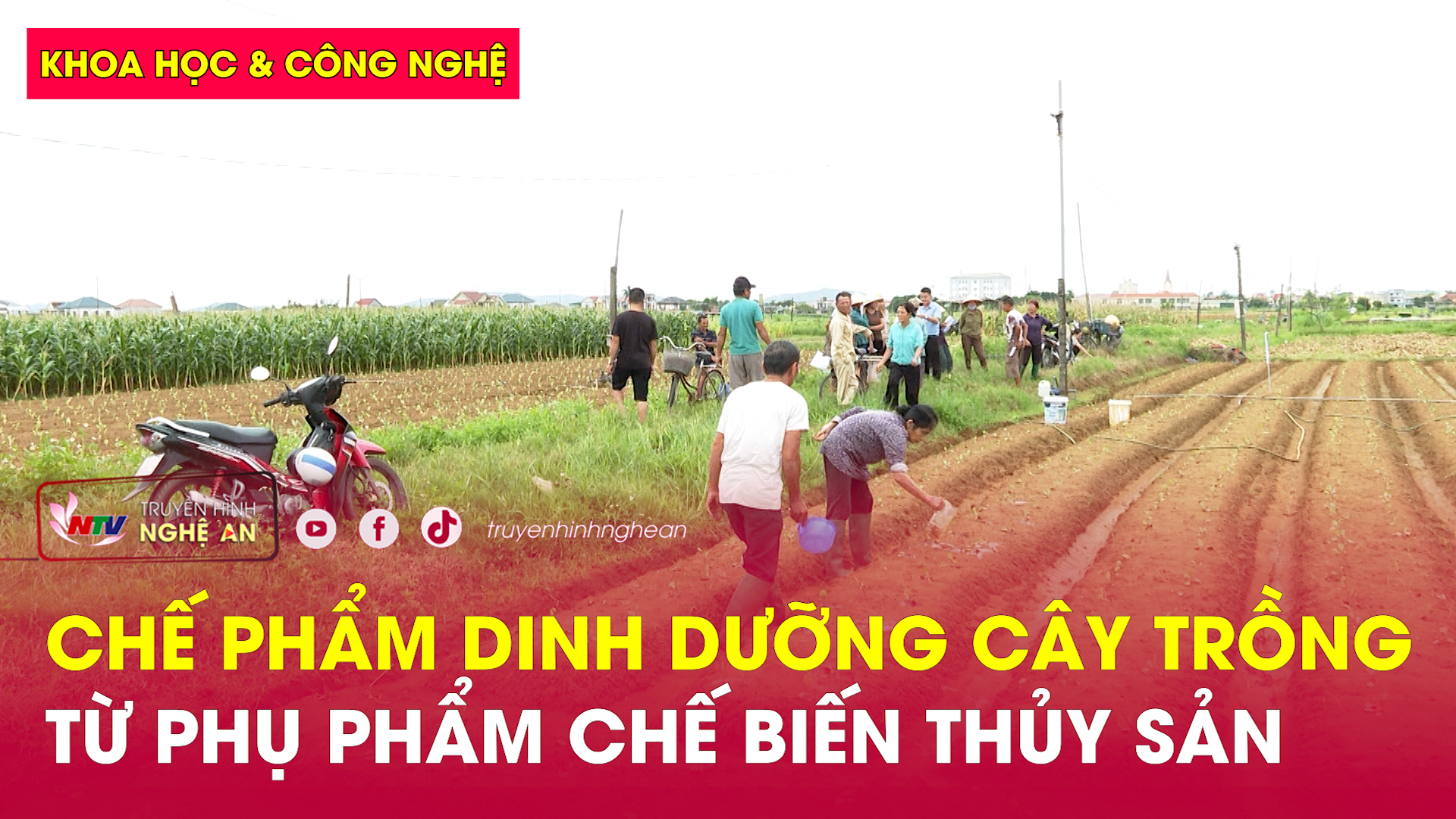 Khoa học & Công nghệ: Chế phẩm dinh dưỡng cây trồng từ phụ phẩm chế biến thủy sản