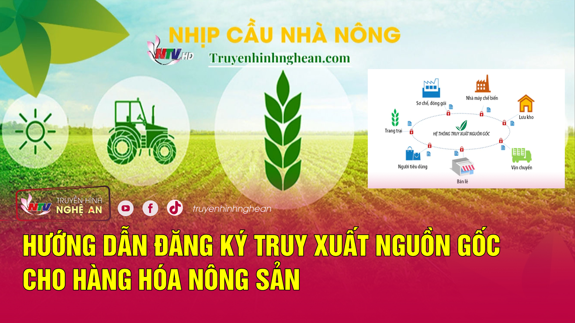 Nhịp cầu nhà nông: Hướng dẫn đăng ký truy xuất nguồn gốc cho hàng hóa nông sản