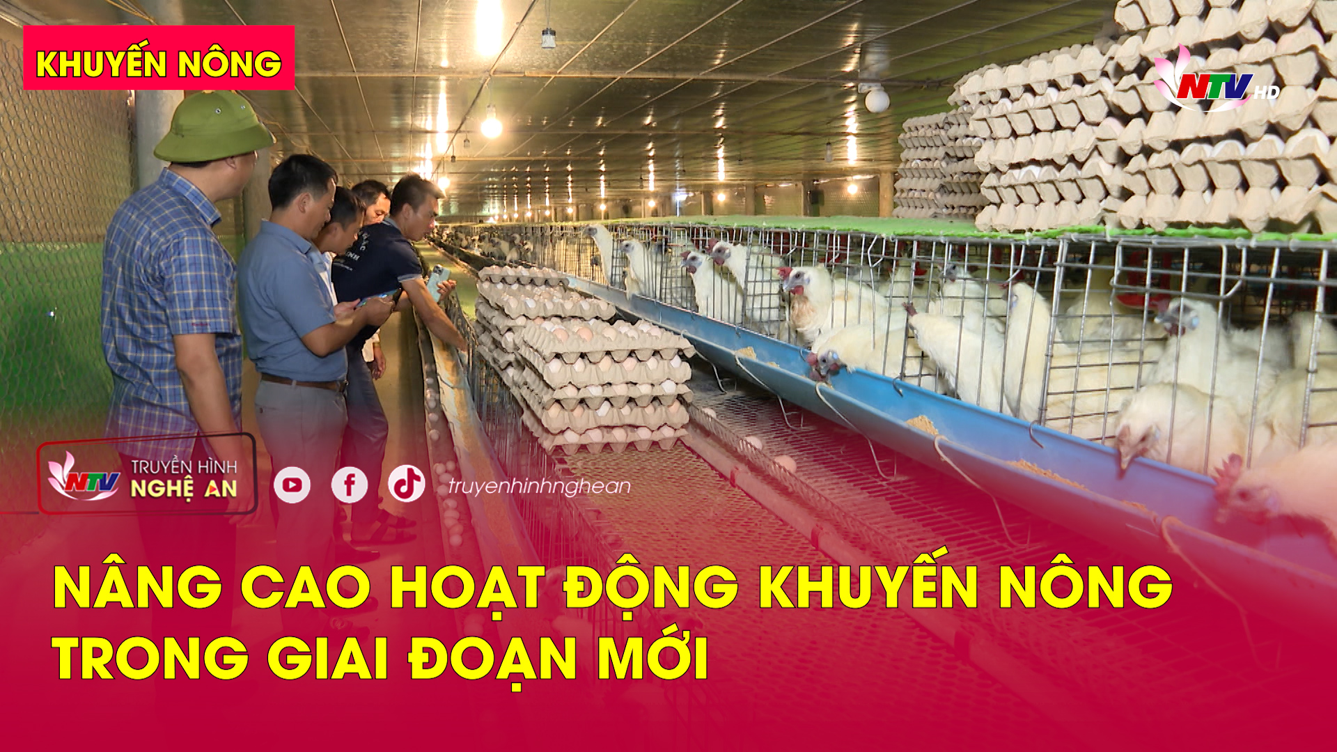 Khuyến nông: Nâng cao hoạt động khuyến nông trong giai đoạn mới