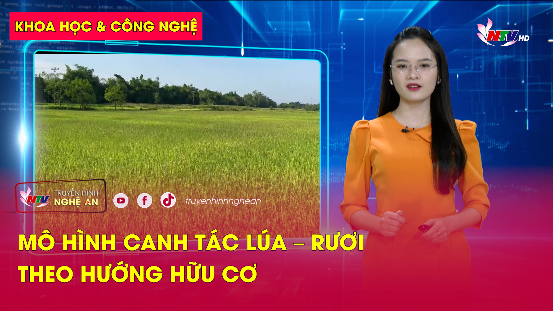 Khoa học & Công nghệ: Mô hình canh tác lúa – rươi theo hướng hữu cơ
