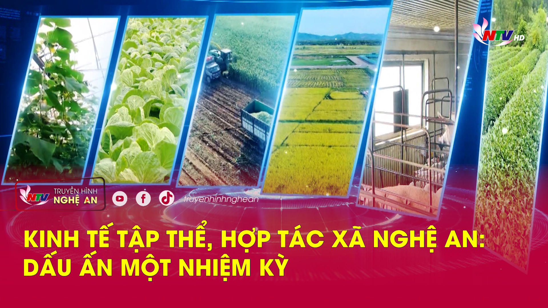 Kinh tế tập thể, hợp tác xã Nghệ An: Dấu ấn một nhiệm kỳ