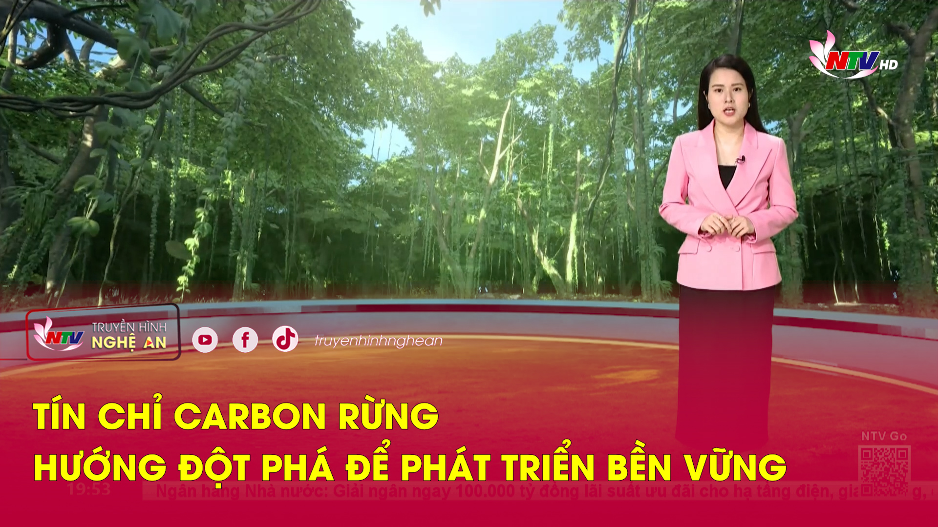 Tín chỉ carbon rừng – Hướng đột phá để phát triển bền vững