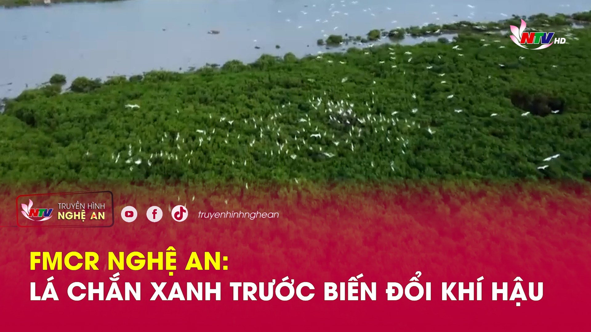 FMCR Nghệ An:  Lá chắn xanh trước biến đổi khí hậu