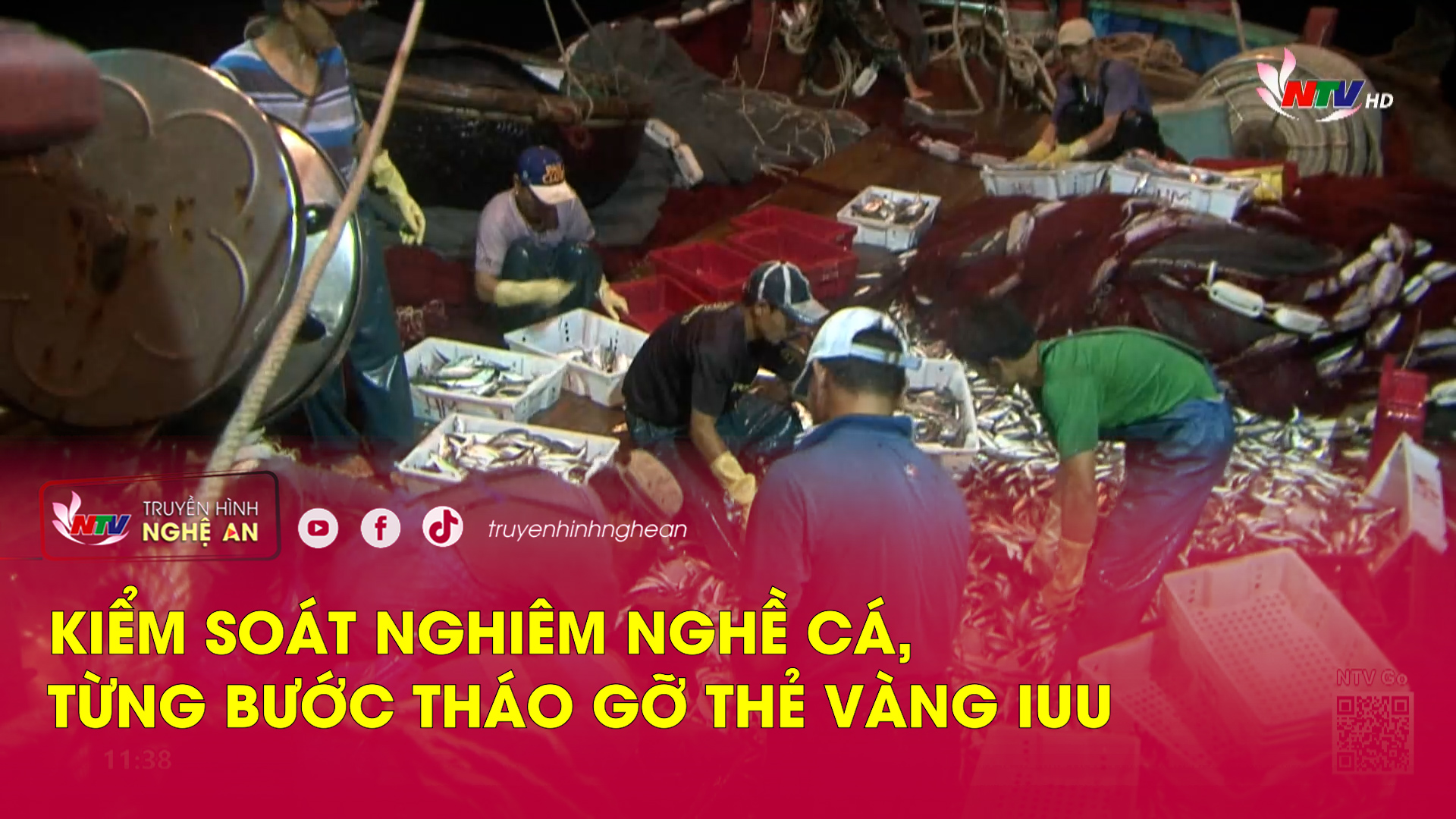 Kiểm soát nghiêm nghề cá, từng bước tháo gỡ thẻ vàng IUU