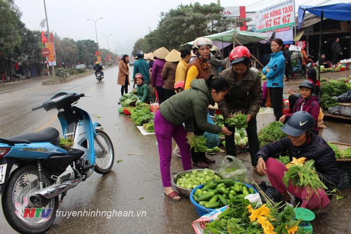 Nông dân Anh Sơn phấn khởi vì rau xanh đội giá sau Tết 