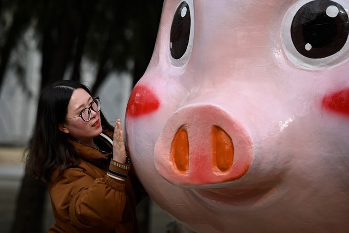 Cô gái chụp ảnh cùng tượng chú lợn đất khổng lồ trong công viên ở Bắc Kinh hôm 2/2. Mùng một Tết Kỷ Hợi 2019 sẽ bắt đầu vào 5/2. Khắp nơi trên thế giới, người dân đi sắm hoa, đồ trang trí về bày biện trong nhà.