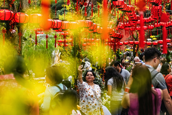 Một phụ nữ chụp ảnh selfie giữa khu triển lãm hoa Dahlia Dreams ở Singapore hôm 24/1. Triển lãm kéo dài từ ngày 18/1 tới 24/2 với chủ đề "Ngàn hoa khoe sắc", trưng bày gần 1.500 loài hoa để chào đón tết nguyên đán.
