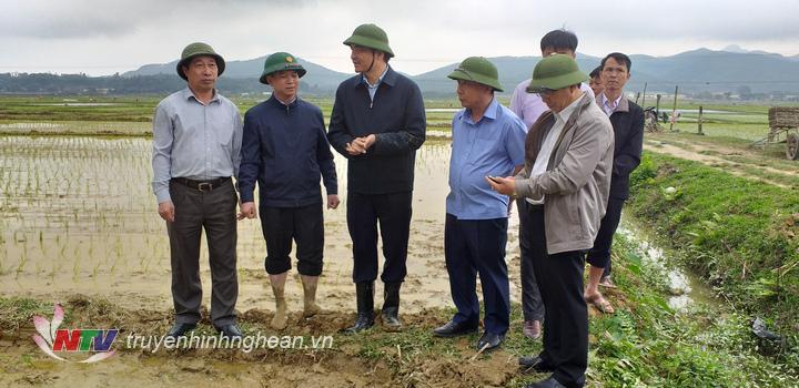 Phó Chủ tịch UBND tỉnh Hoàng Nghĩa Hiếu  kiểm tra sản xuất nông nghiệp