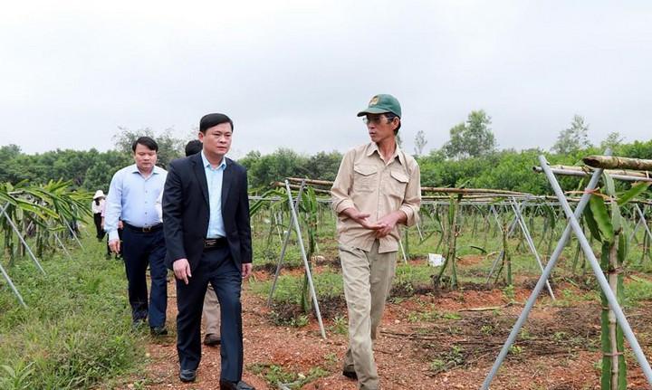 Chủ tịch UBND tỉnh Thái Thanh Quý thăm mô hình nông nghiệp tại Đô Lương