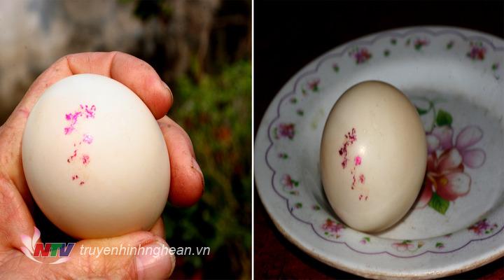 Nghệ An: Phát hiện quả trứng ngan kỳ lạ có chữ màu hồng ánh 