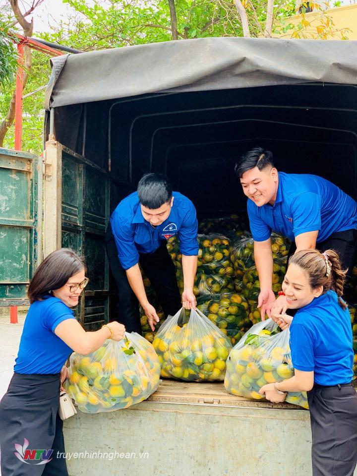 Tuổi trẻ Đài PT-TH Nghệ An phối hợp cùng phường Lê Mao, doanh nghiệp trên địa bàn TP Vinh chung tay giúp bà con huyện Nghĩa Đàn tiêu thụ nông sản.