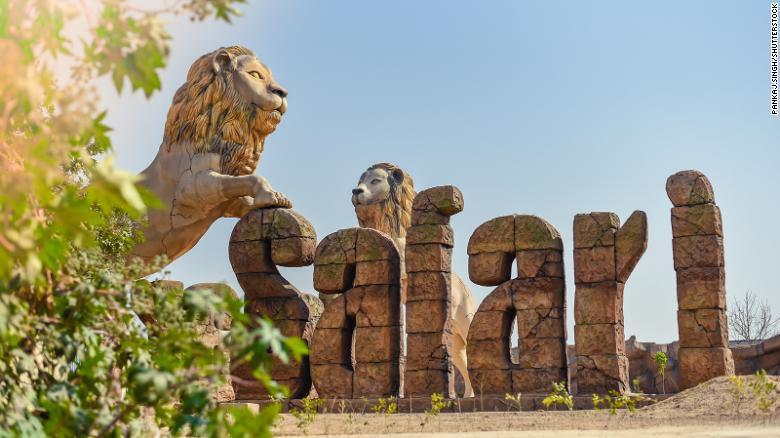 Tượng sư tử ở cổng chào đón du khách tại công viên Safari Etawah, bang Uttar Pradesh. Hai con sư tử tại đây mắc Covid-19 nhưng tình trạng đã ổn định. Ảnh: Shutterstock.