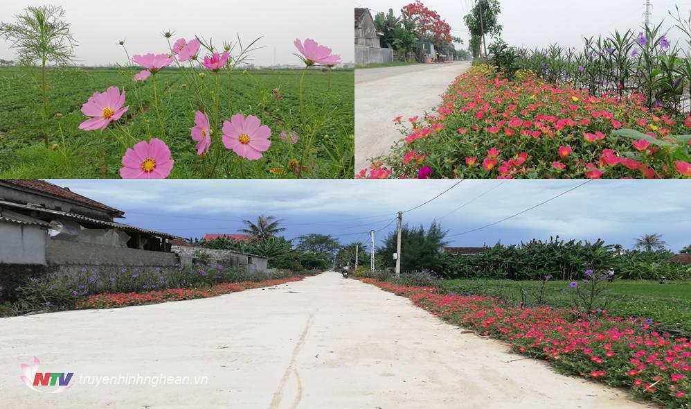Những con đường hoa rực rỡ màu sắc trải dài trên các tuyến đường làng.