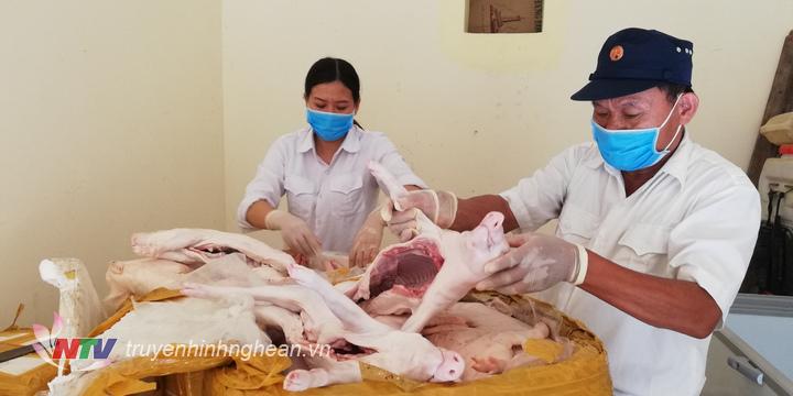 Số lợn con đã được bàn giao cho Trạm Chăn nuôi và Thú y Diễn Châu xử lý theo quy định pháp luật.