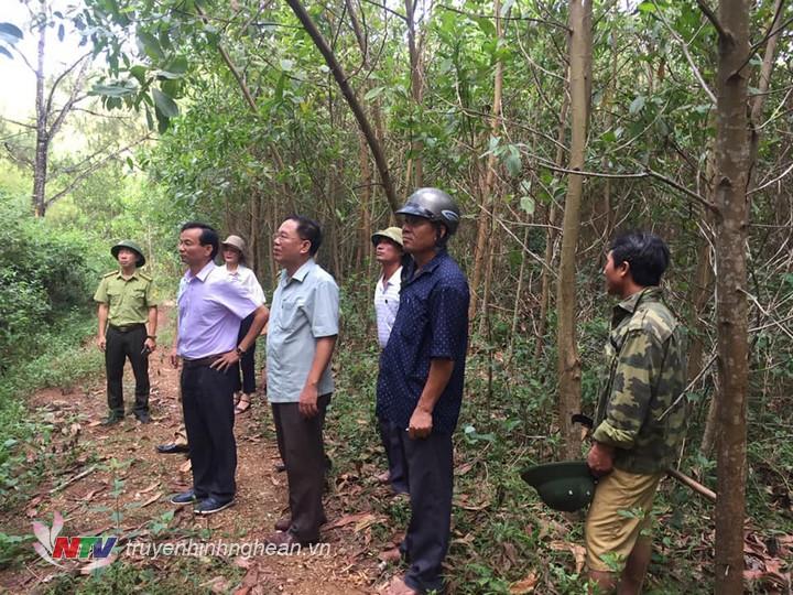 đoàn công tác kiểm tra công tác phòng chống cháy rừng ở xã Quỳnh Văn.