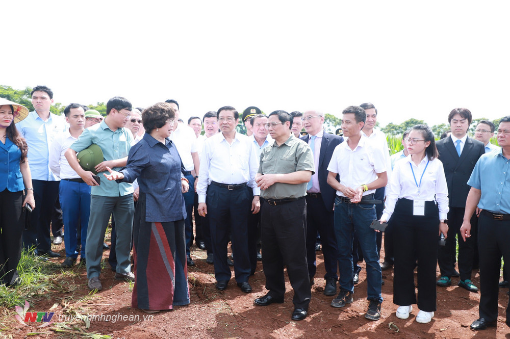 Thủ tướng Phạm Minh Chính cùng đoàn công tác nghe giới thiệu về quy trình sản xuất trên cánh đồng ứng dụng công nghệ cao của Tập đoàn TH.