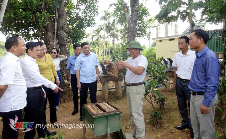 Đoàn công tác TW Hội nông dân Việt Nam khảo sát tại Yên Thành