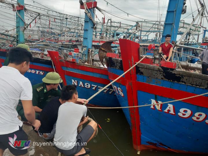BĐBP Nghệ An chủ động kêu gọi tàu thuyền vào bờ tránh, trú bão