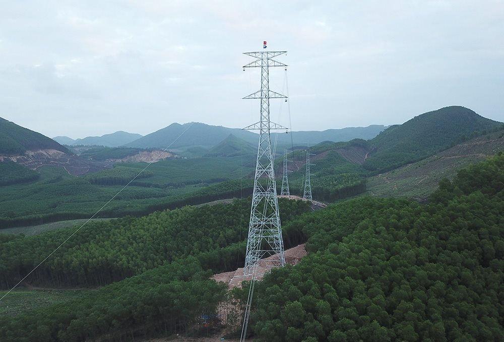 Có hơn 54ha rừng phải chuyển đổi khi để thực hiện Dự án đường dây 500KV đấu nối Nhà máy nhiệt điện Nghi Sơn 2 vào Hệ thống điện Quốc gia (đoạn tuyến qua tỉnh Nghệ An)