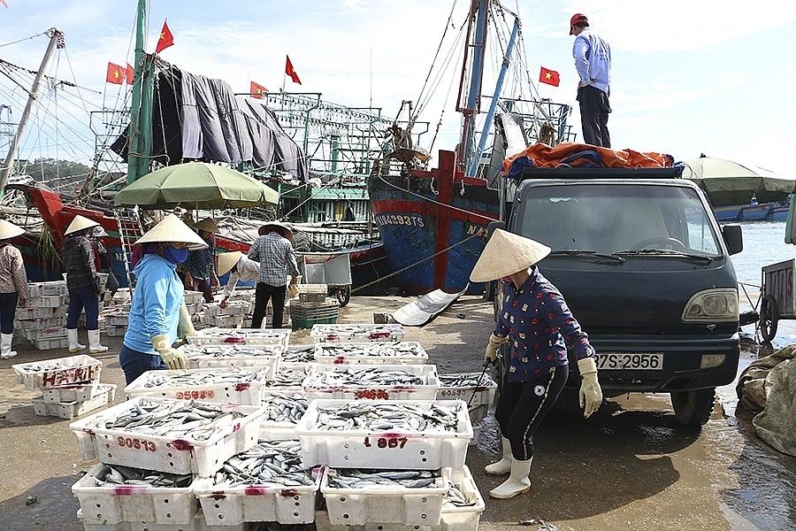 Ngành thuỷ sản nghệ An đang chung tay cùng cả nước tích cực triển khai các biện pháp nhằm đẩy mạnh việc chống khai thác hải sản bất hợp pháp.