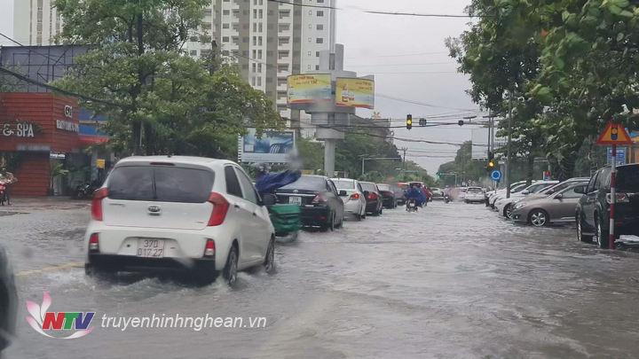 Thành phố Vinh: Mưa lớn gây ùn tắc giao thông, hàng loạt cây xanh gãy đổ 