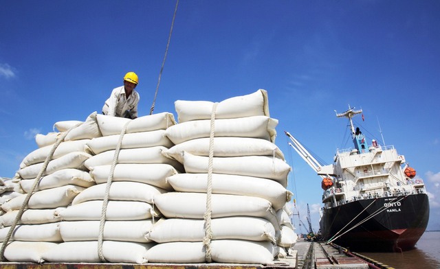 Nghiên cứu việc Ấn Độ cấm xuất khẩu gạo, có giải pháp ổn định thị trường lúa gạo