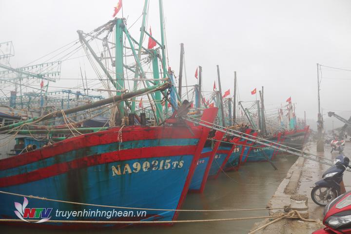 tàu thuyền của huyện Quỳnh Lưu đã về bến và vào các điểm tránh bão
