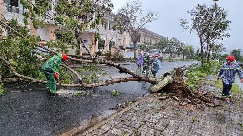 Cây xanh ngã đổ tại huyện Hòa Vang, Đà Nẵng.