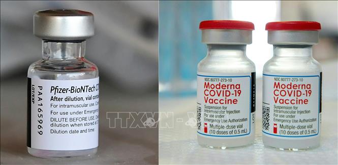 Vaccine ngừa COVID-19 của Moderna và Pfizer/BioNTech. Ảnh: AFP/TTXVN