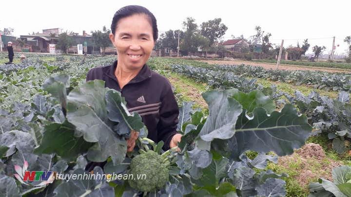 Nghi Lộc đẩy mạnh các hoạt động dịch vụ hỗ trợ nông dân