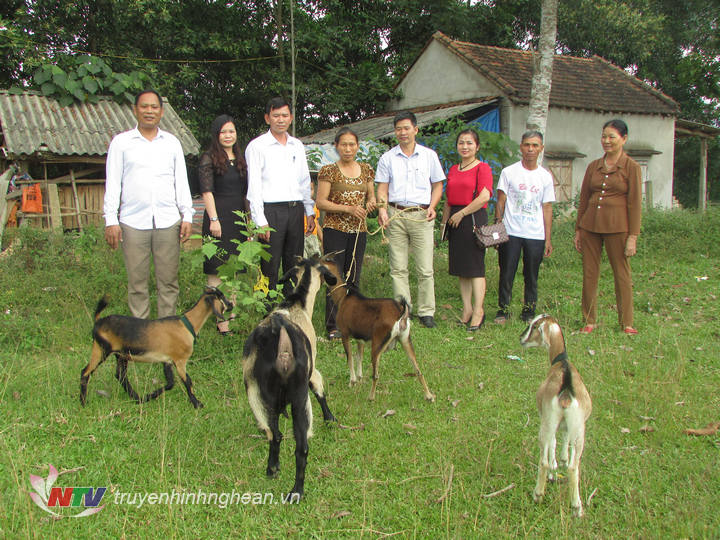 Mặt trận tổ quốc Việt Nam huyện Tân Kỳ hỗ trợ dê sinh sản cho hộ nghèo Nguyễn Thị Tuyết xóm Nghi Lộc xã Tân An 