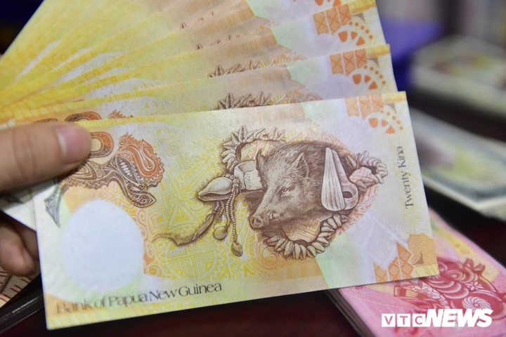 Ngoài tờ 2 USD in hình lợn vàng, thị trường còn có nhiều tờ tiền lưu niệm in hình heo của các nước khác. Trong hình là tờ tiền 20 Kina của Papua New Guinea với hình con heo rừng, giá bán 50.000 đồng/tờ.