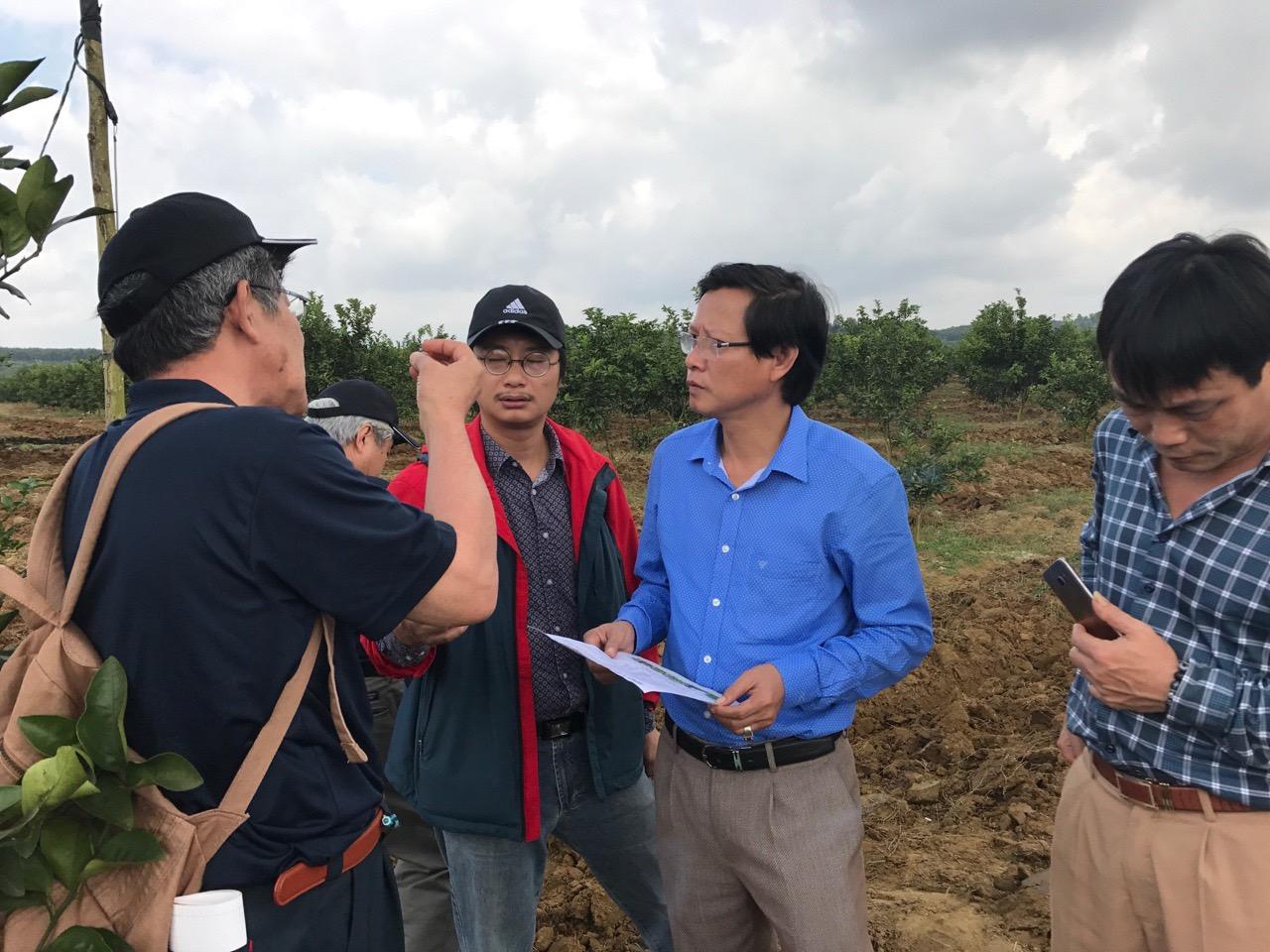 Đoàn chuyên gia Nhật Bản thăm trang trại ông Hoài từ những ngày đầu ươm trồng giống quýt JeJu.