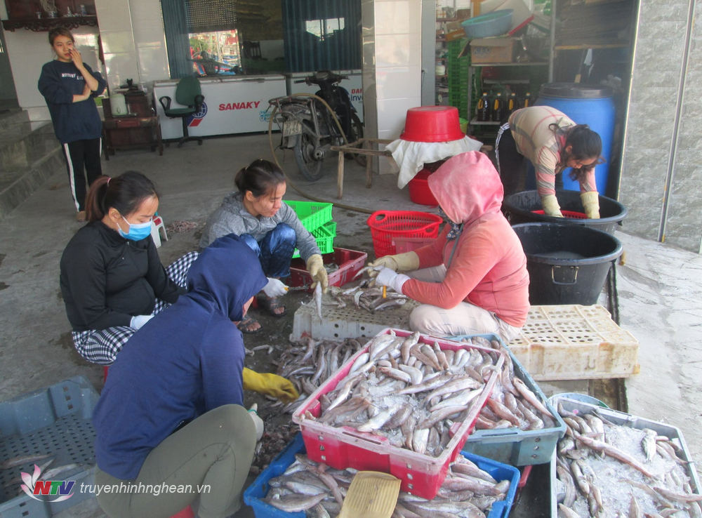 Dịp cuối năm các cơ sở thu mua hải sản ở xã Sơn Hải phải thuê nhiều công nhân để đóng gói hải sản kịp giao cho khách