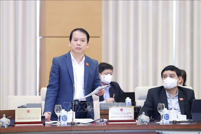 Chủ nhiệm Ủy ban Pháp luật của Quốc hội Hoàng Thanh Tùng phát biểu ý kiến. 
