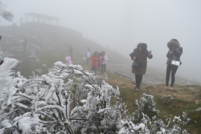 Theo dự báo của TT Dự báo KTTV Quốc gia, ngày mai 28 Tết, nhiệt độ vùng núi cao giảm thấp dưới 3 độ, có khả năng xảy ra băng giá và mưa tuyết.