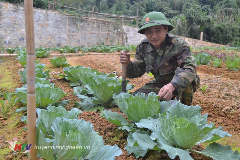 Cán bộ, chiến sỹ Đồn biên phòng Châu Khê tăng gia sản xuất để cải thiện đời sống.