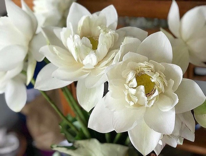 Dâng hoa ở các đền chùa nên chọn các loại hoa thanh tao như hoa sen, hoa huệ, mẫu đơn, hoa cúc… Tránh dùng những loại hoa lạ, hoa dại.