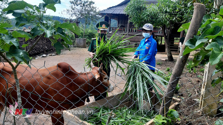 Trung úy Lương Văn Lợi giúp đỡ hỗ trợ hộ nghèo trên địa bàn triển khai mô hình chăn nuôi phát triển kinh tế