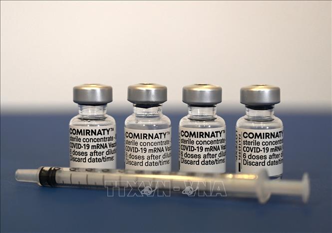 Vaccine ngừa COVID-19 của hãng dược phẩm Pfizer/BioNTech. Ảnh: AFP/TTXVN