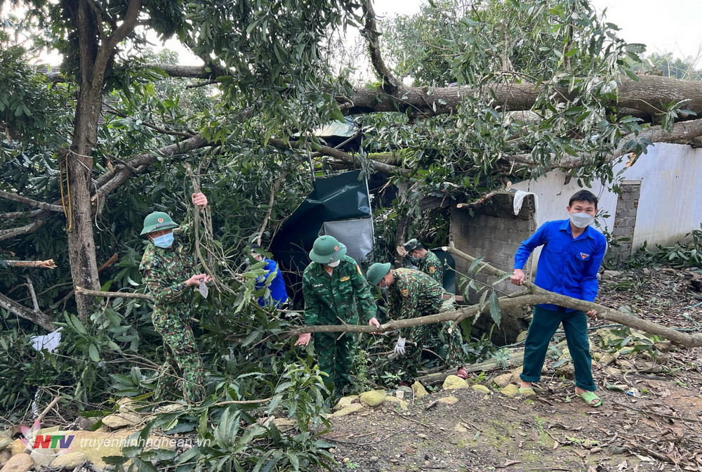 Lực lượng Đồn BP Tam Quang phối hợp đoàn viên thanh niên địa phương hỗ trợ nhân dân dọn dẹp cây đổ do lốc xoáy.