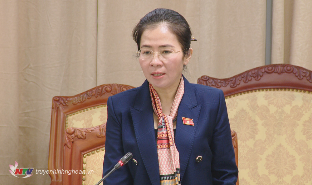 Đại biểu Võ Thị Minh Sinh - Uỷ viên BTV Tỉnh uỷ, Chủ tịch UBMTTQ tỉnh phát biểu tại buổi làm việc.