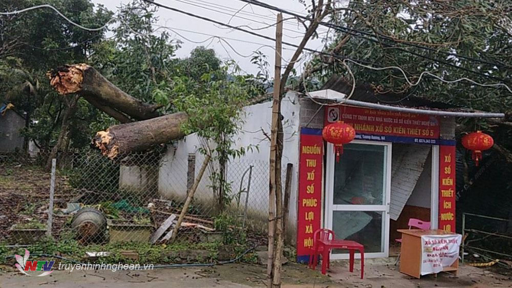Cây cối ngã đổ vào một nhà dân tại xã Tam Quang, huyện Tương Đương.